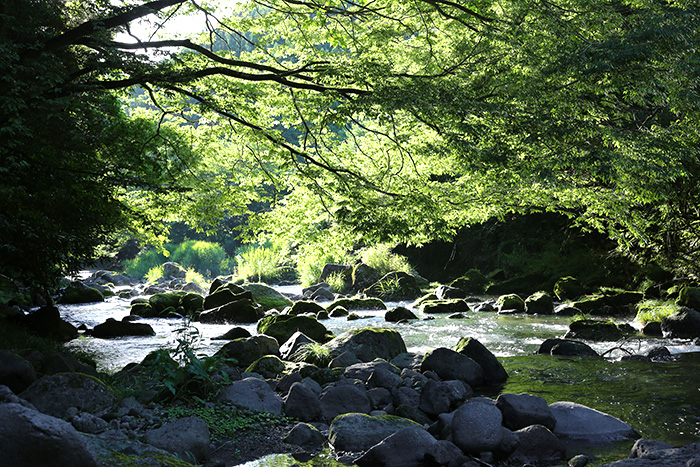 風景